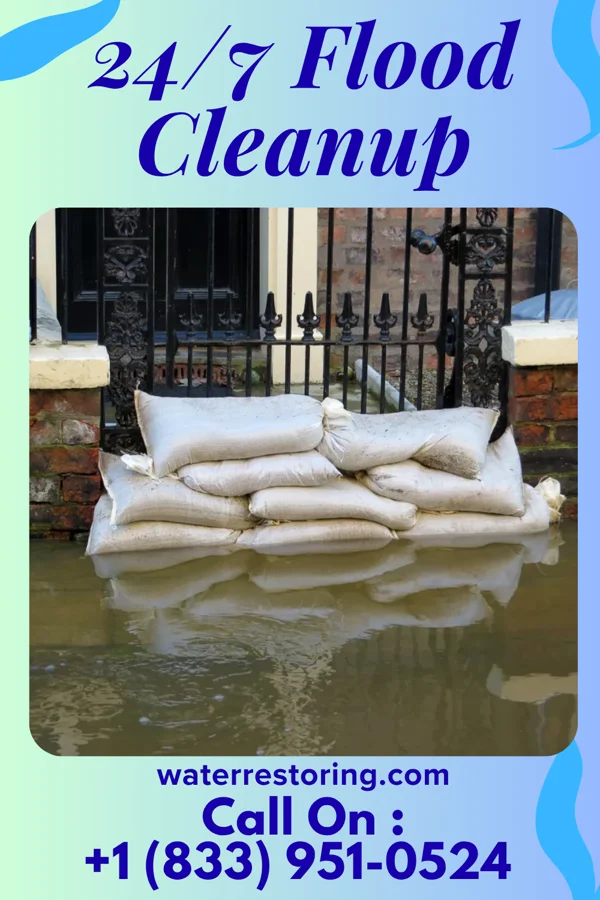 24/7 Flood Cleanup in Franklin Farm, VA