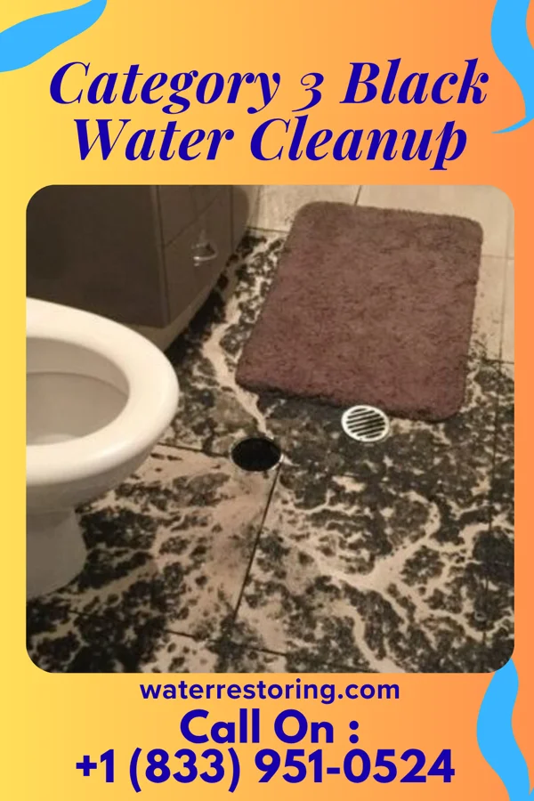 Category 3 Black Water Cleanup in Franklin Farm, VA