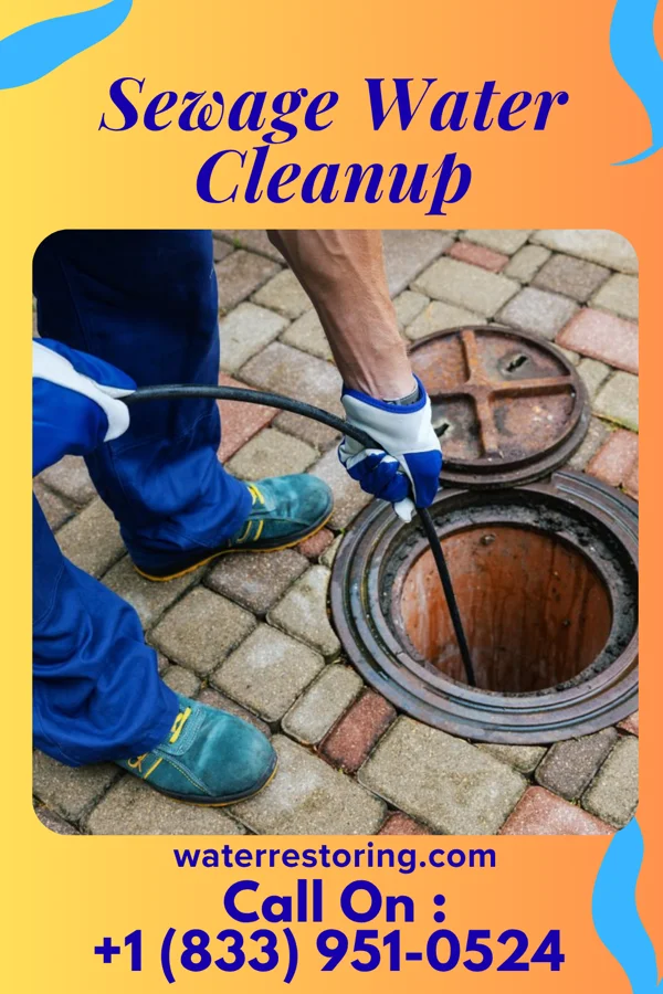 Sewage Water Cleanup in Franklin Farm, VA